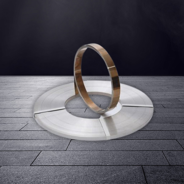 Precision Stainless Steel Strips